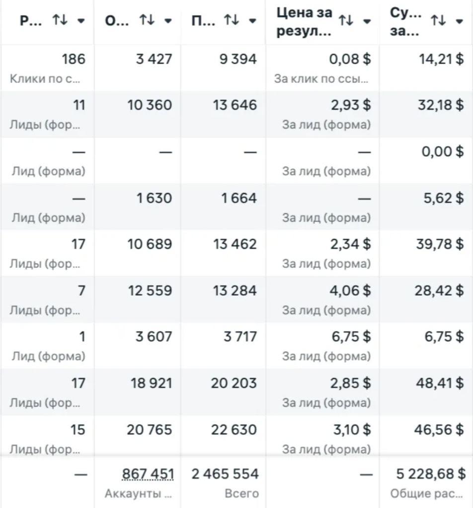 13,908 Leads for Premium Motorcycle Tours at $2.85 CPL: Case Study 4 image 18